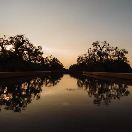Ozio - Il Trullo Rosso Fasano