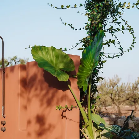 Bed & Breakfast Ozio - Il Trullo Rosso